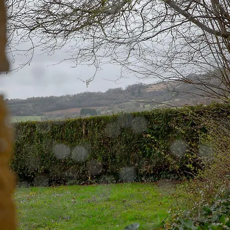 La Grappe D'or Torgny